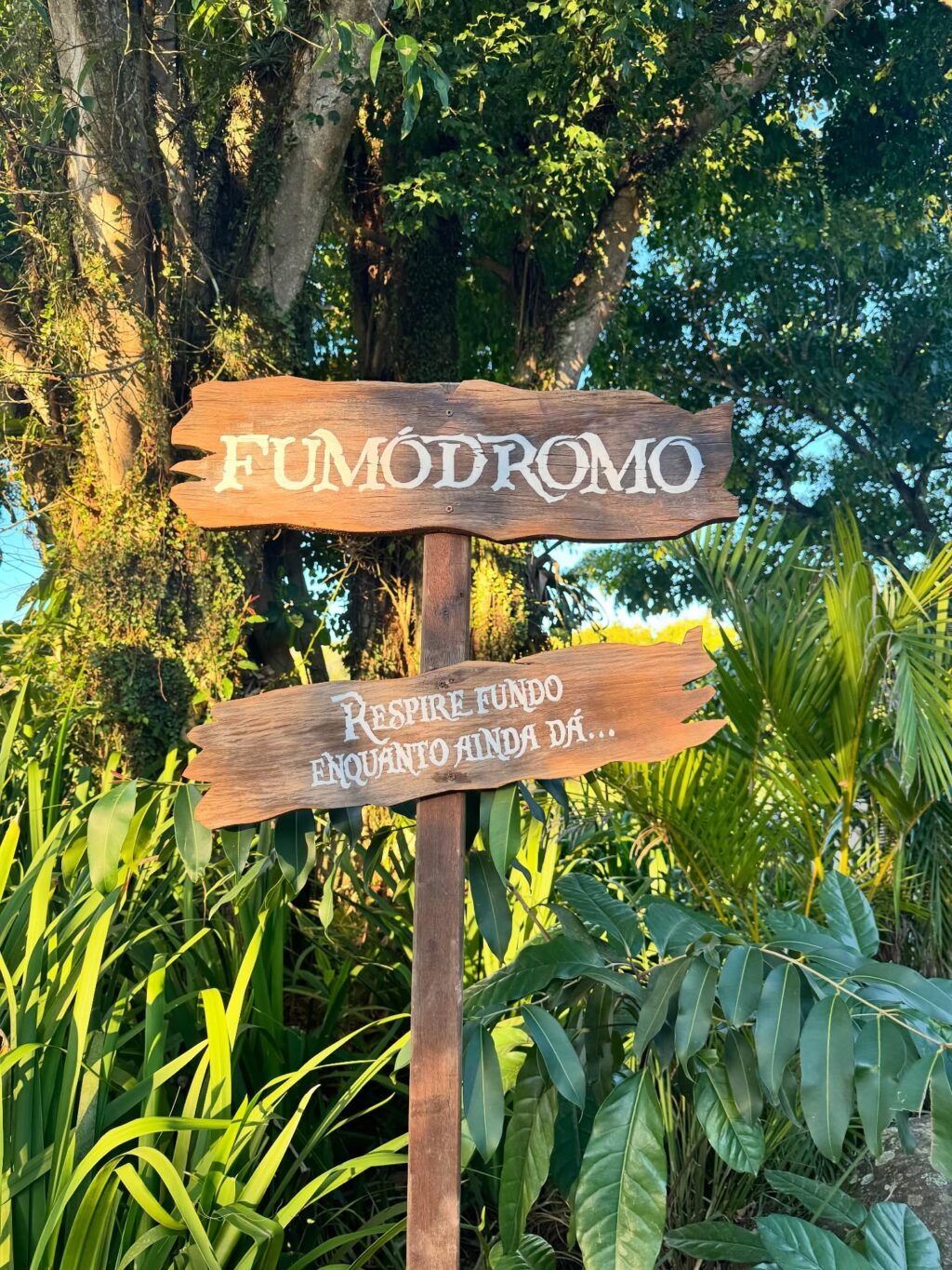 Instagram post from partiumaringa. This post is in position 12.